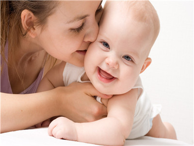 培养箱